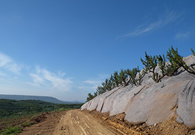 苹果基地