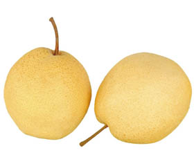 Chinese pear