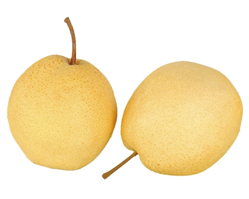 Chinese pear