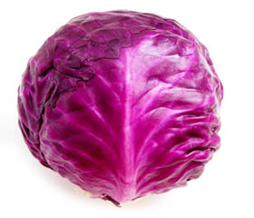 Purple cabbage