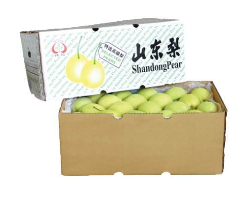 Shandong Pear