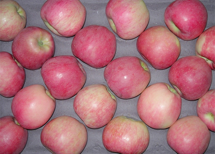 Red star apple