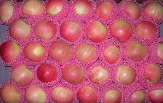 Gala apple