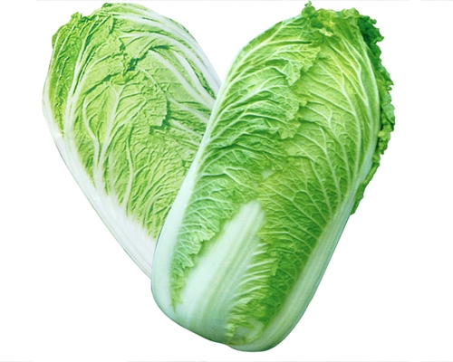 Chinese cabbage